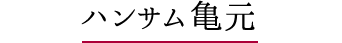 ハンサム亀元